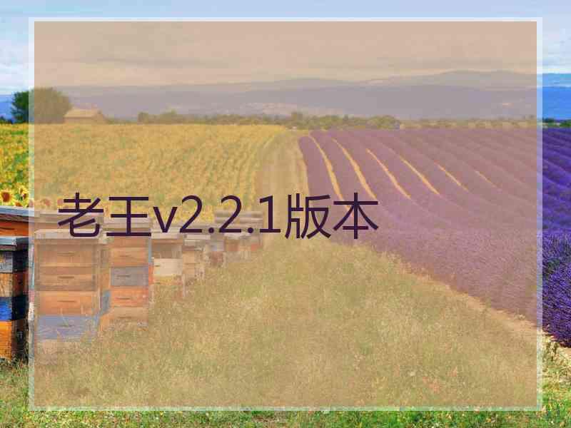 老王v2.2.1版本