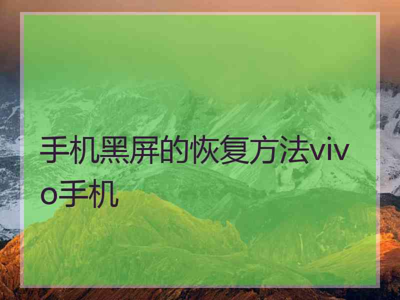 手机黑屏的恢复方法vivo手机