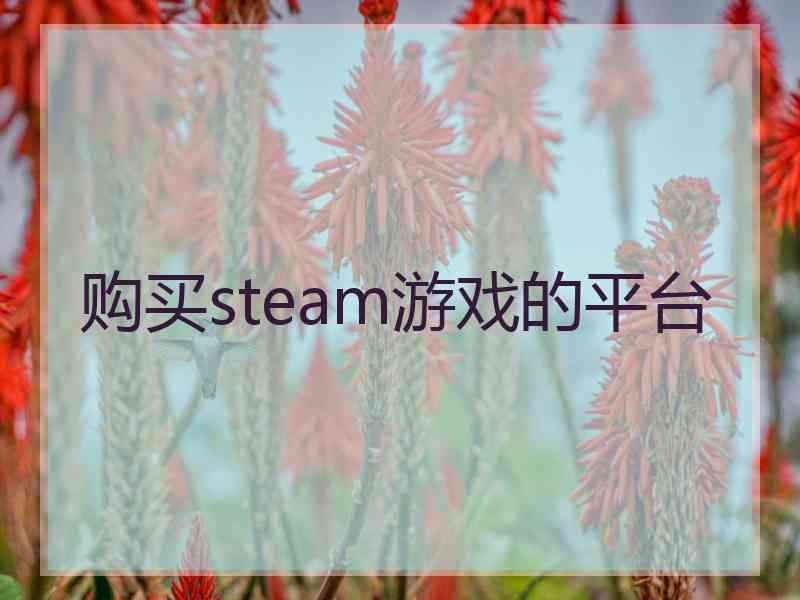 购买steam游戏的平台