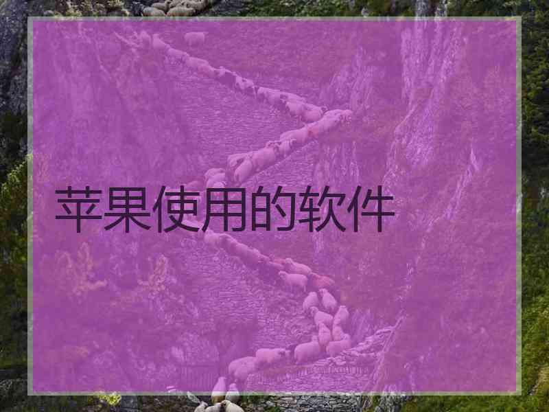 苹果使用的软件