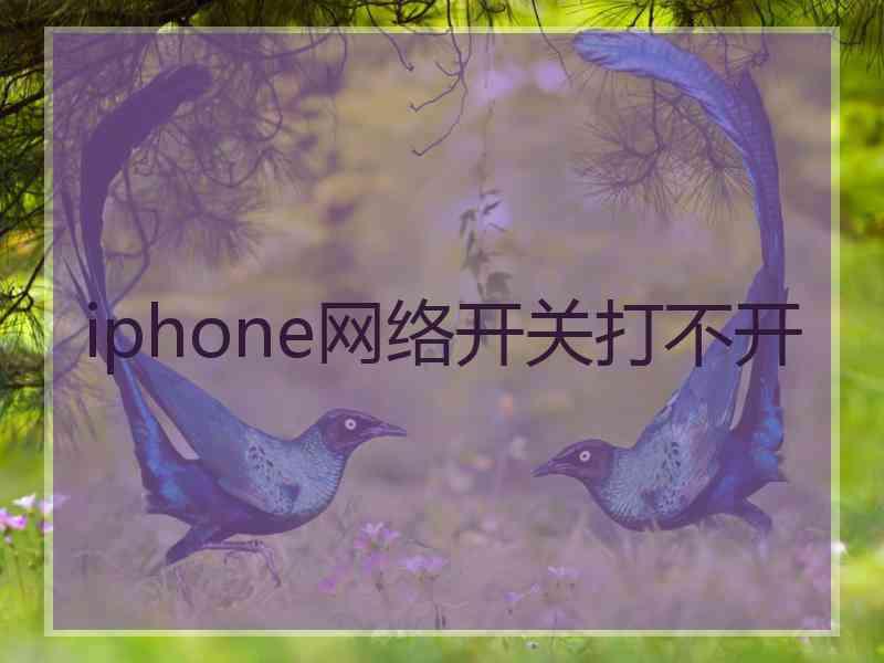 iphone网络开关打不开