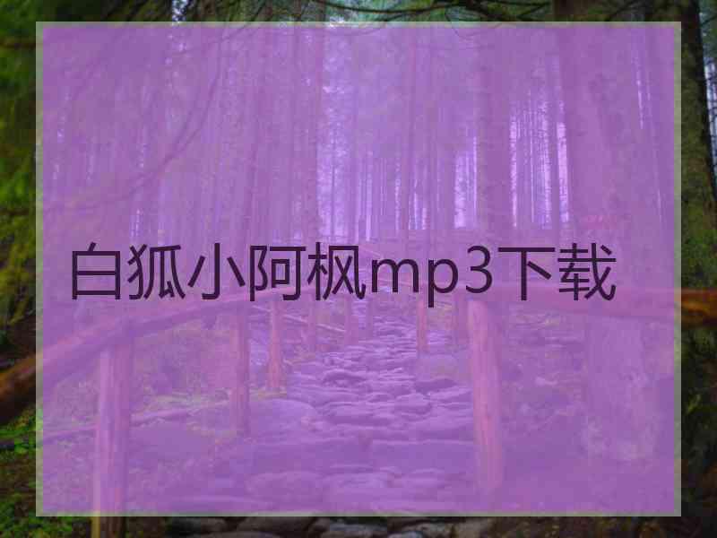 白狐小阿枫mp3下载