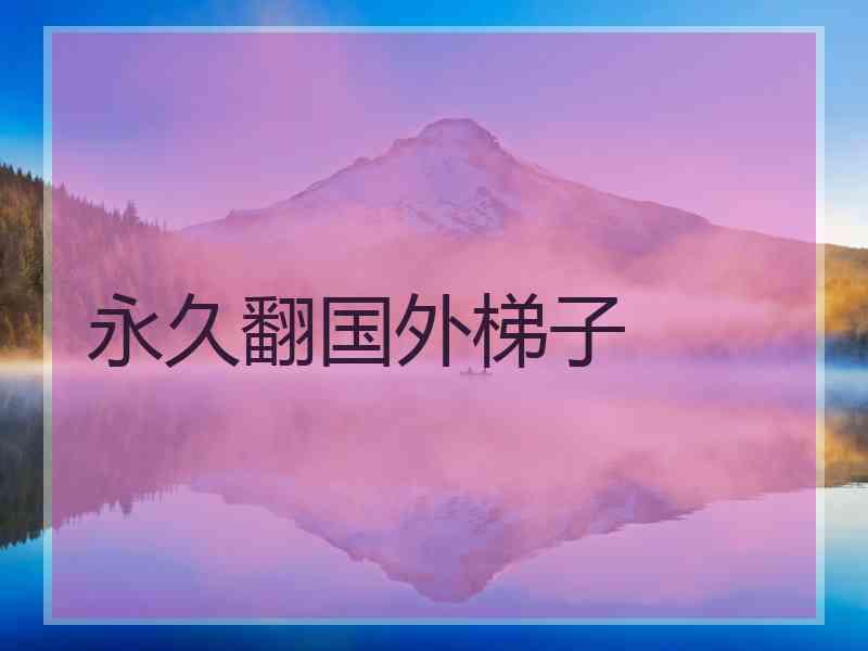 永久翻国外梯子