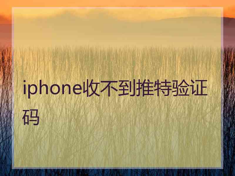 iphone收不到推特验证码