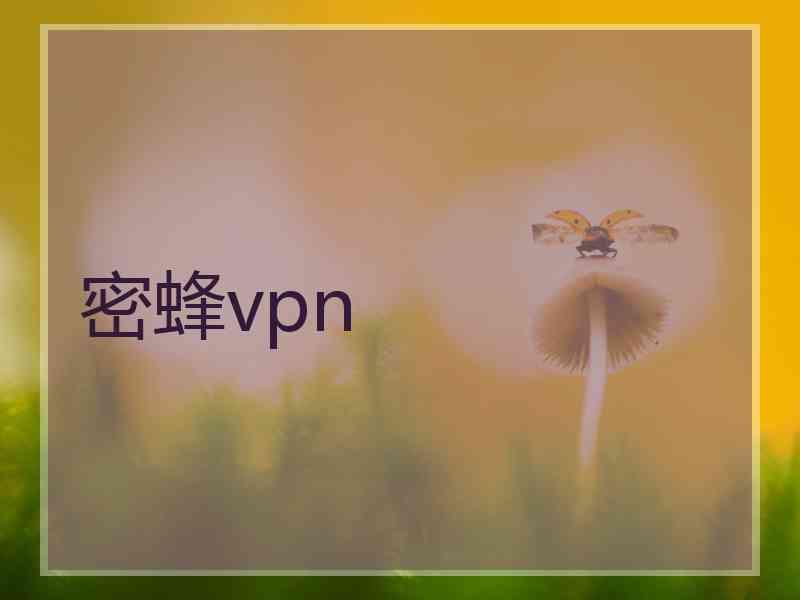 密蜂vpn