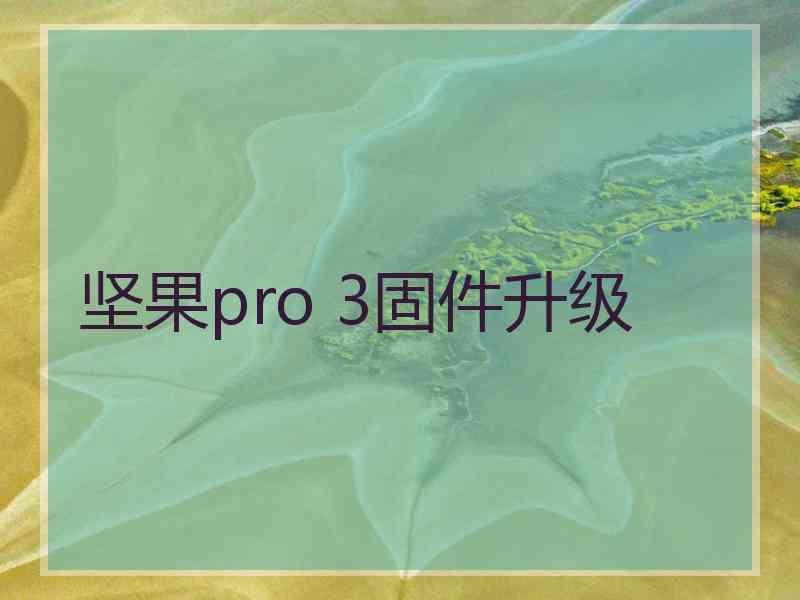 坚果pro 3固件升级