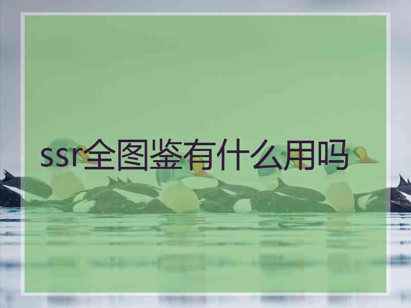 ssr全图鉴有什么用吗