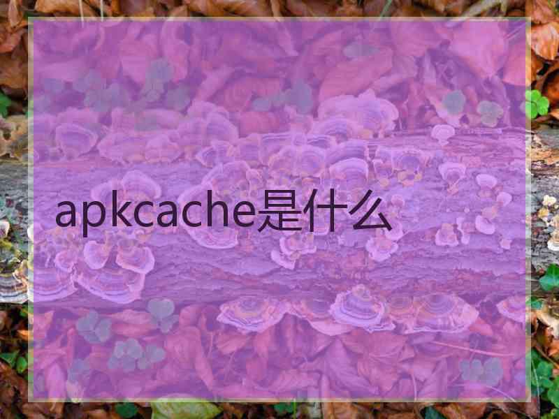 apkcache是什么