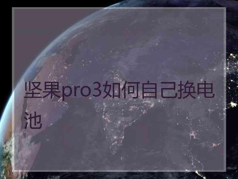 坚果pro3如何自己换电池