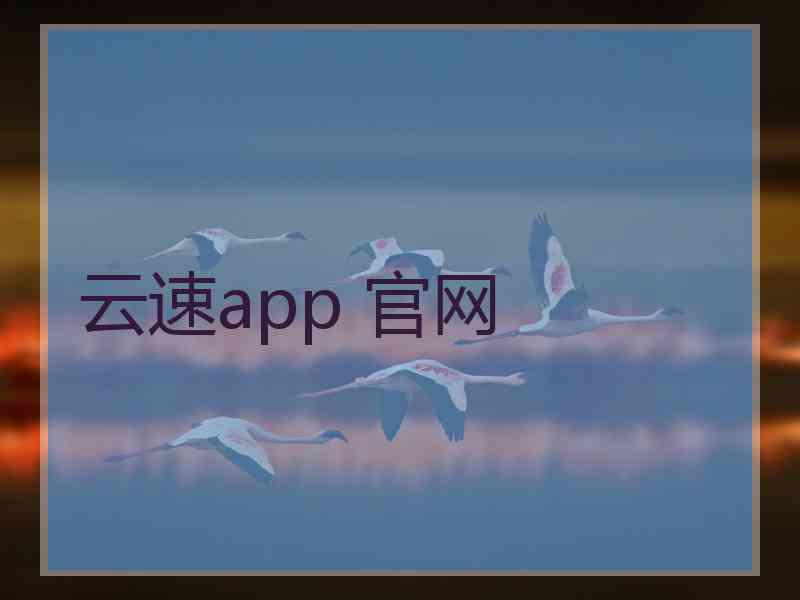 云速app 官网