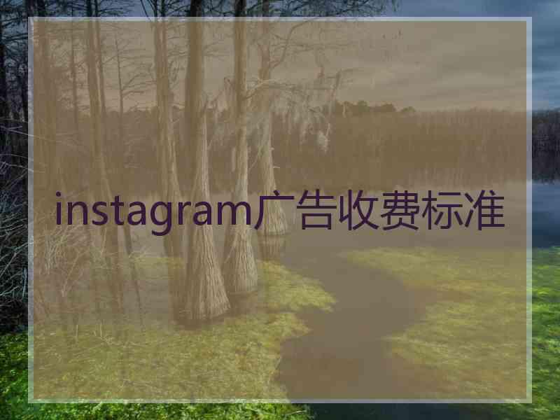 instagram广告收费标准