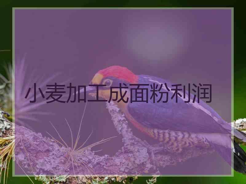 小麦加工成面粉利润