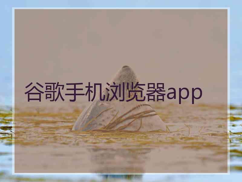 谷歌手机浏览器app