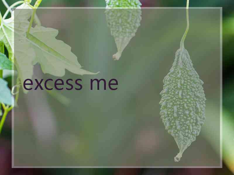 excess me