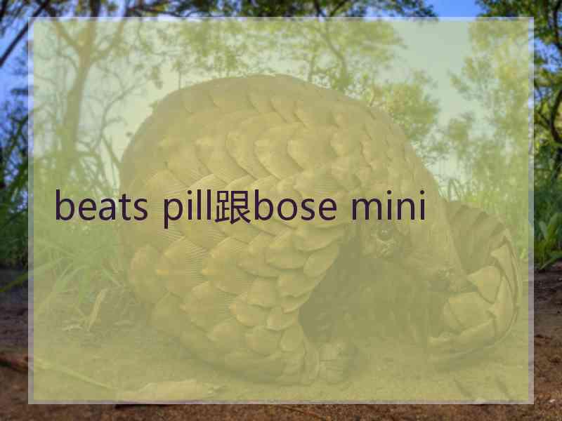 beats pill跟bose mini