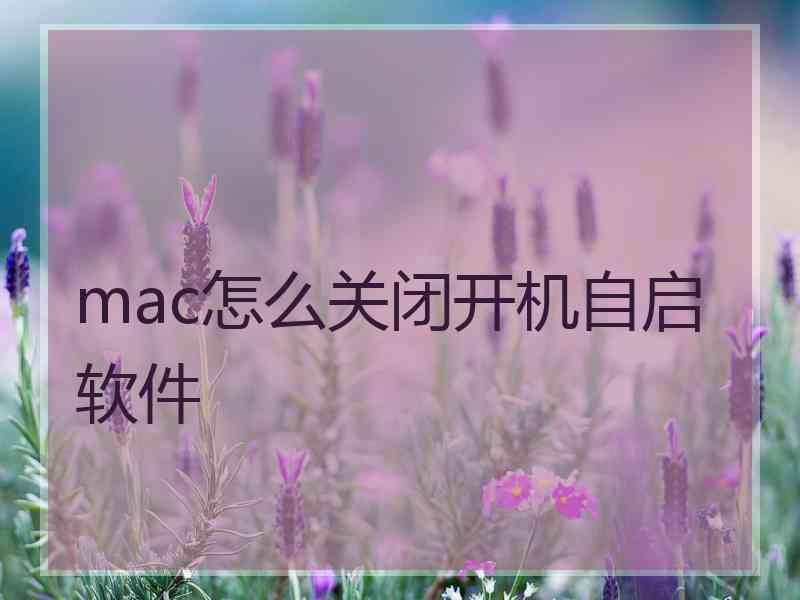 mac怎么关闭开机自启软件