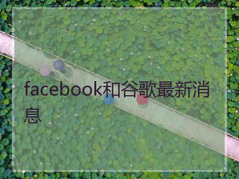 facebook和谷歌最新消息