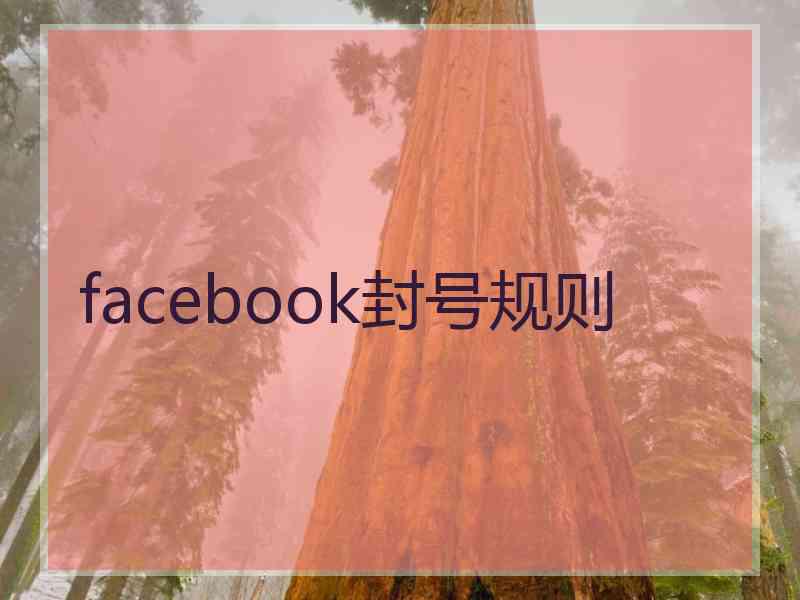 facebook封号规则