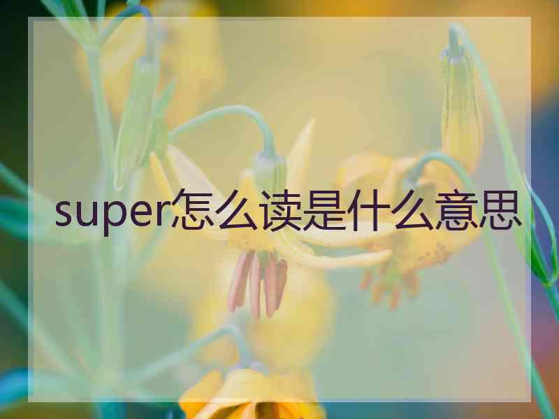 super怎么读是什么意思