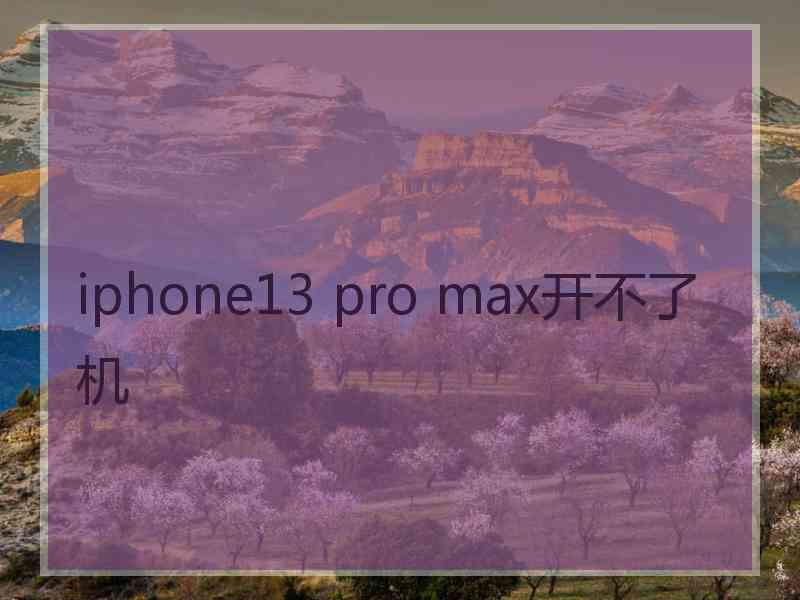 iphone13 pro max开不了机