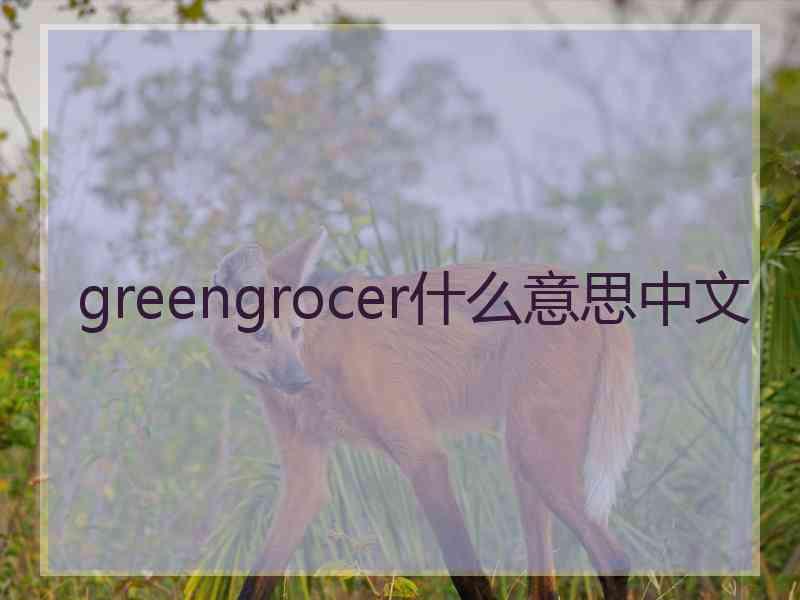 greengrocer什么意思中文