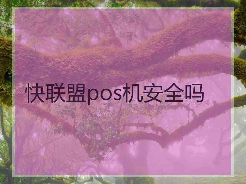 快联盟pos机安全吗