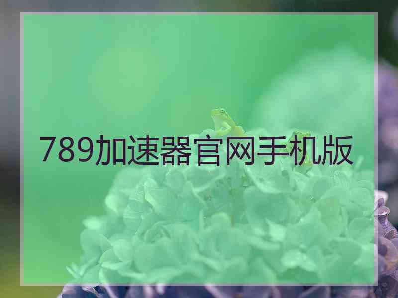 789加速器官网手机版