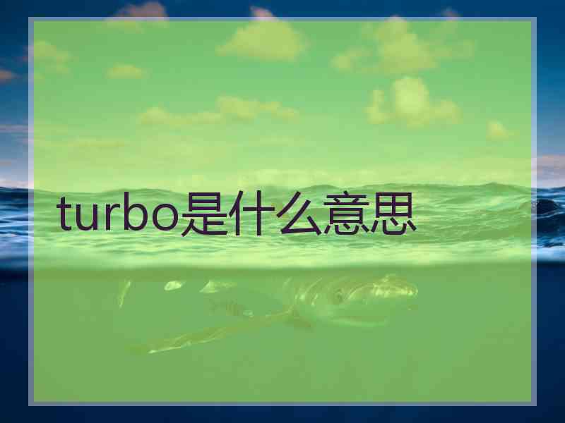 turbo是什么意思