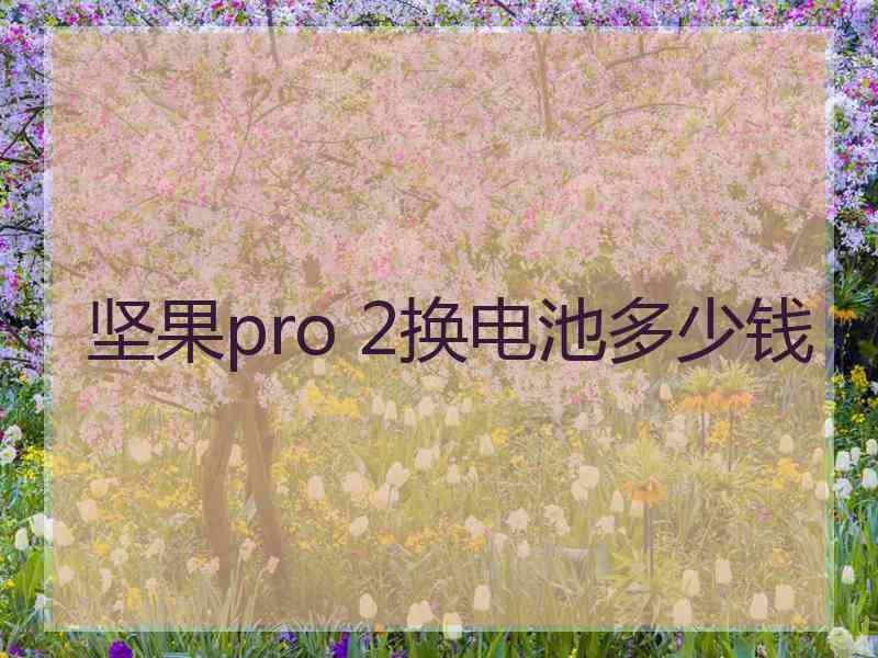 坚果pro 2换电池多少钱