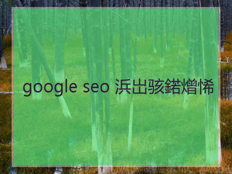 google seo 浜岀骇鍩熷悕