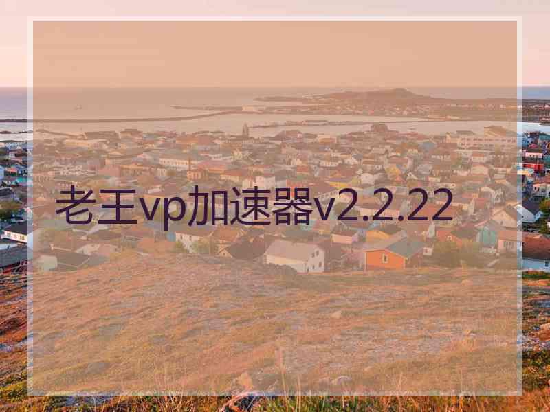 老王vp加速器v2.2.22