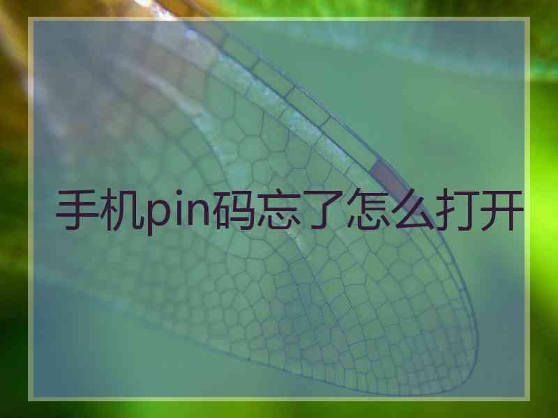 手机pin码忘了怎么打开