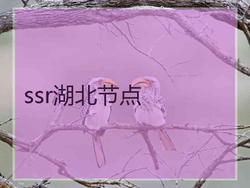 ssr湖北节点