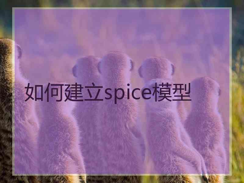 如何建立spice模型