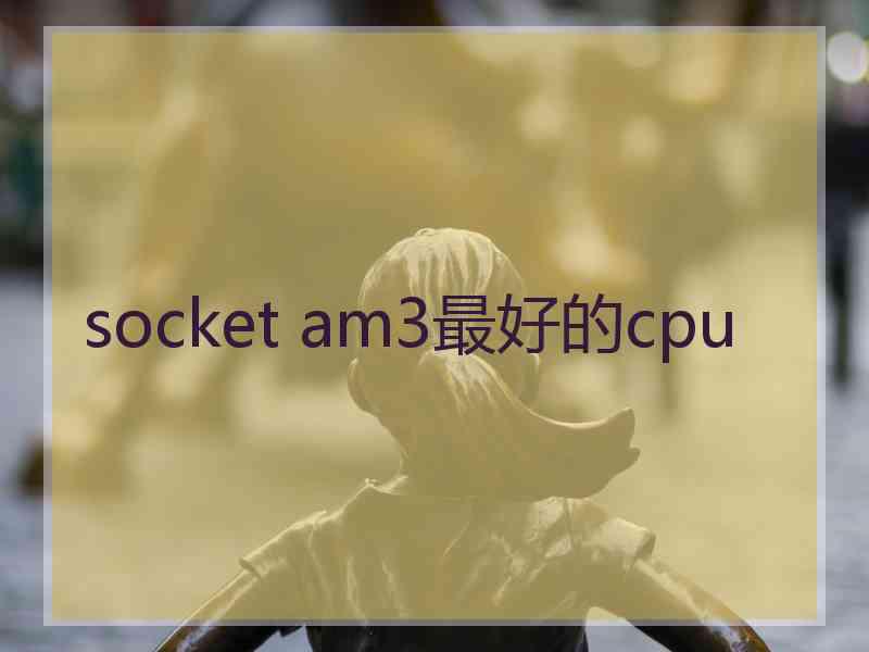 socket am3最好的cpu