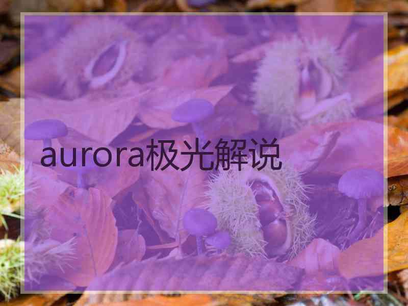 aurora极光解说