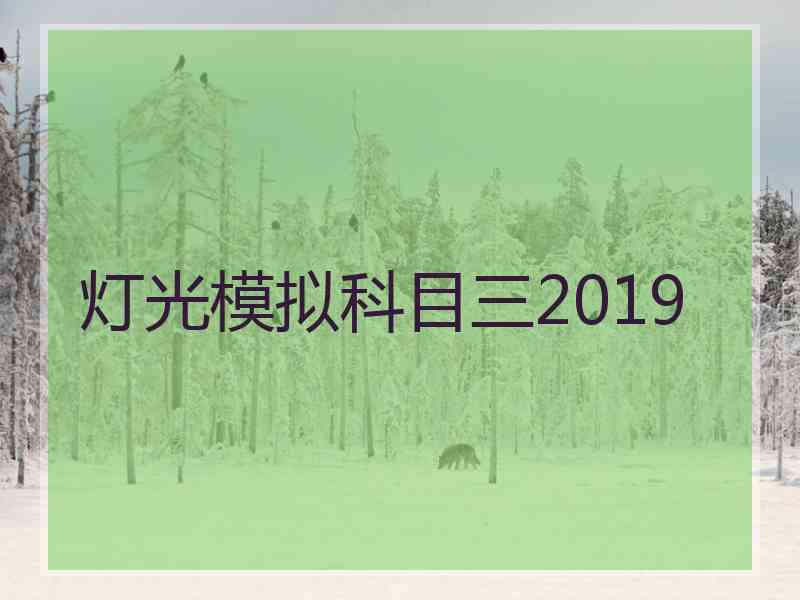 灯光模拟科目三2019