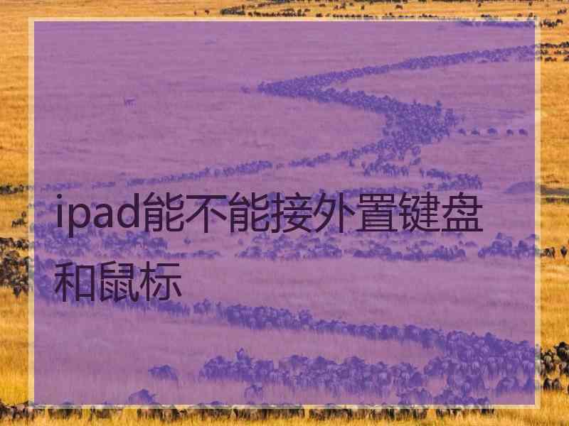 ipad能不能接外置键盘和鼠标