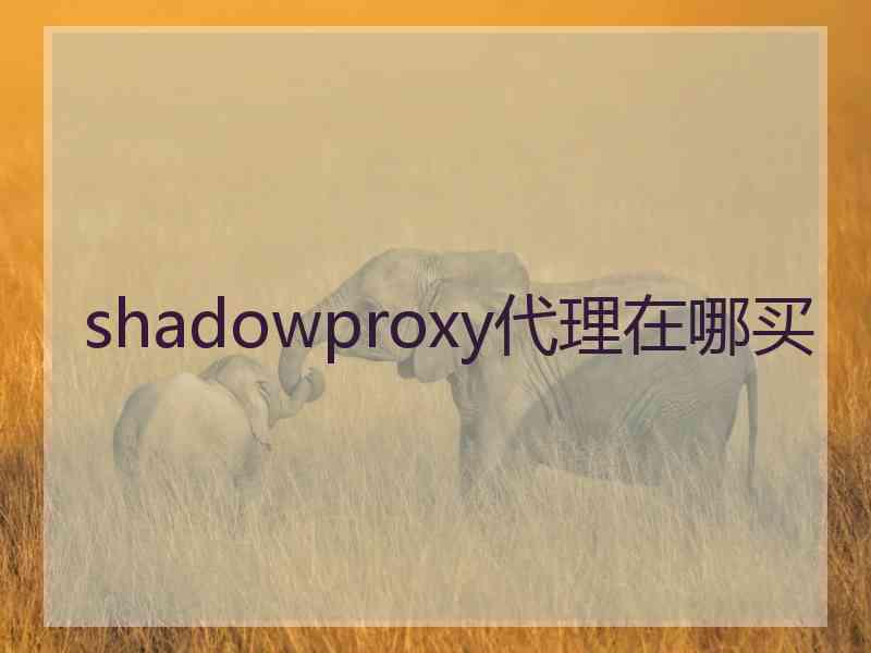 shadowproxy代理在哪买