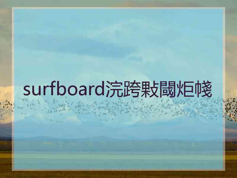 surfboard浣跨敤閾炬帴