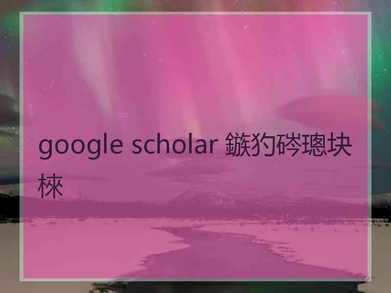 google scholar 鏃犳硶璁块棶