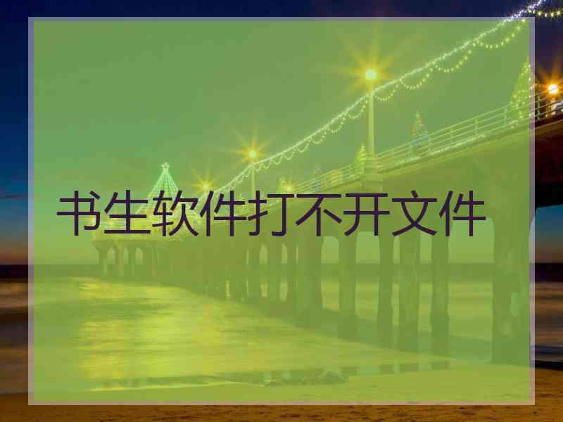 书生软件打不开文件