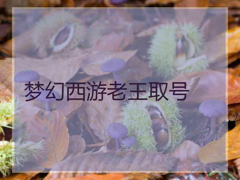 梦幻西游老王取号