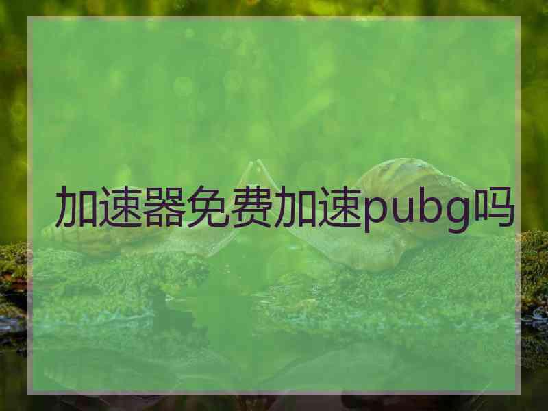 加速器免费加速pubg吗