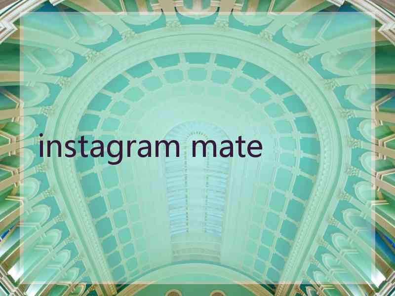 instagram mate