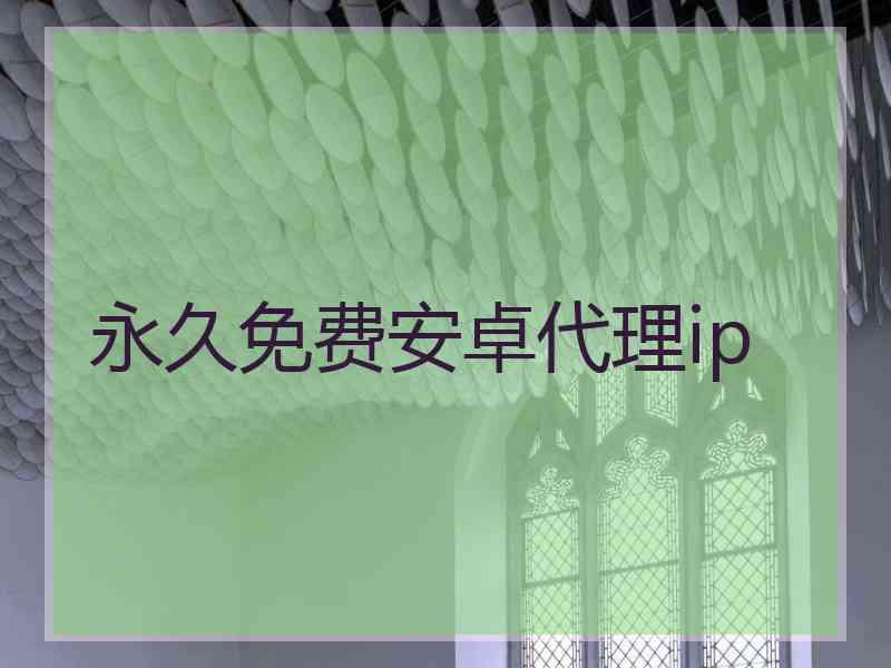 永久免费安卓代理ip