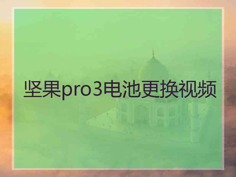 坚果pro3电池更换视频