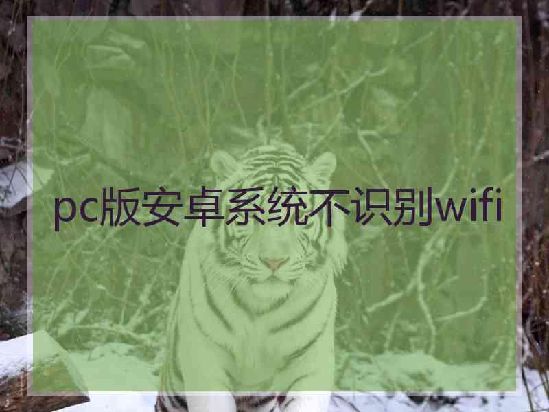 pc版安卓系统不识别wifi