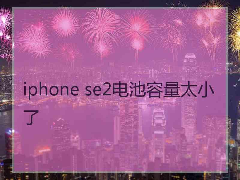 iphone se2电池容量太小了