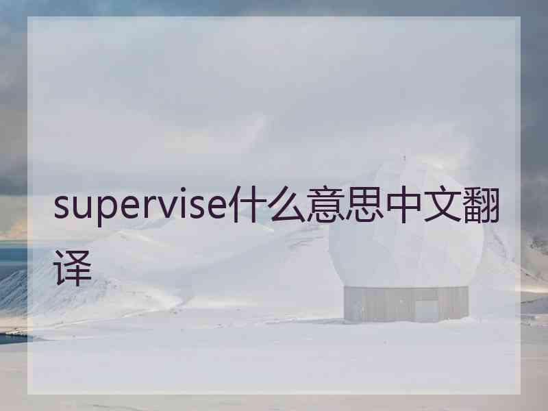 supervise什么意思中文翻译